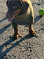 Mini Dachshund Fleece Onesie: Waterproof Tummy, Mud Repellent Dog Jumpsuit
