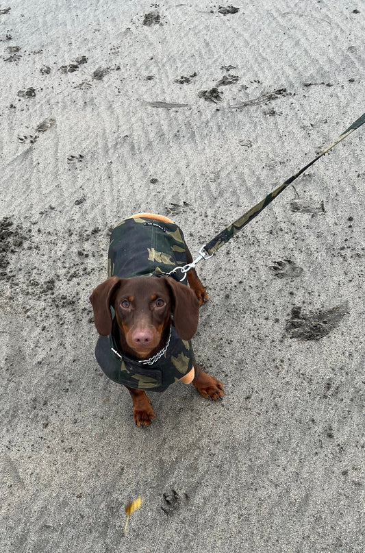 Waterproof Fleece Lined Dachshund Coat: Custom Fit Winter Dog Jacket