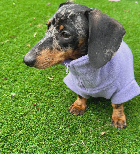 Dachshund zip neck Fleece Jumper: Embroidered Dog Coat