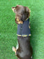 Made-to-Measure Dachshund Harness: Cornish Tartan Trim, No-Rub Design