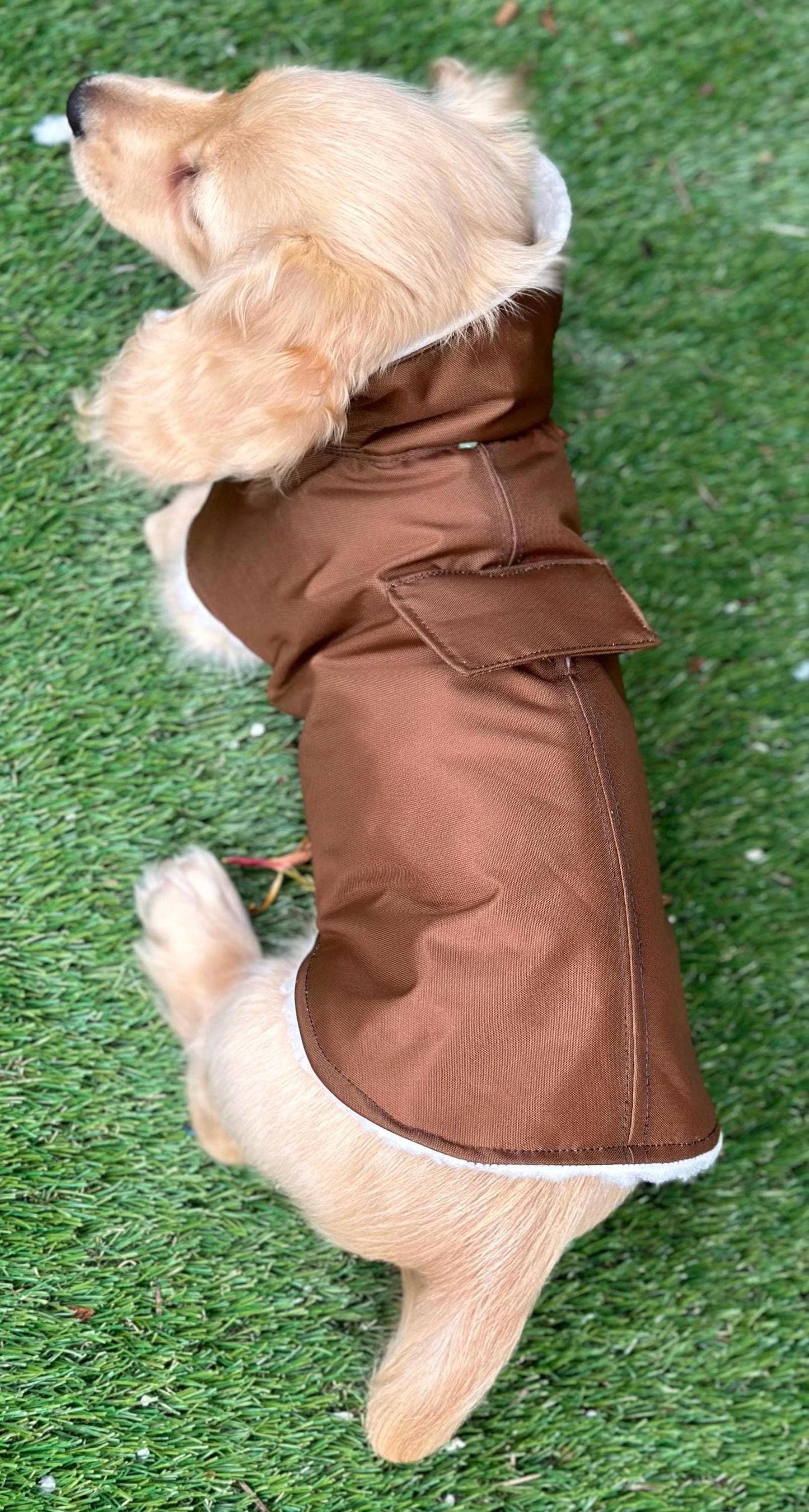 Waterproof Dachshund Coat: Sherpa Fleece Lined, Hideaway Harness Hole
