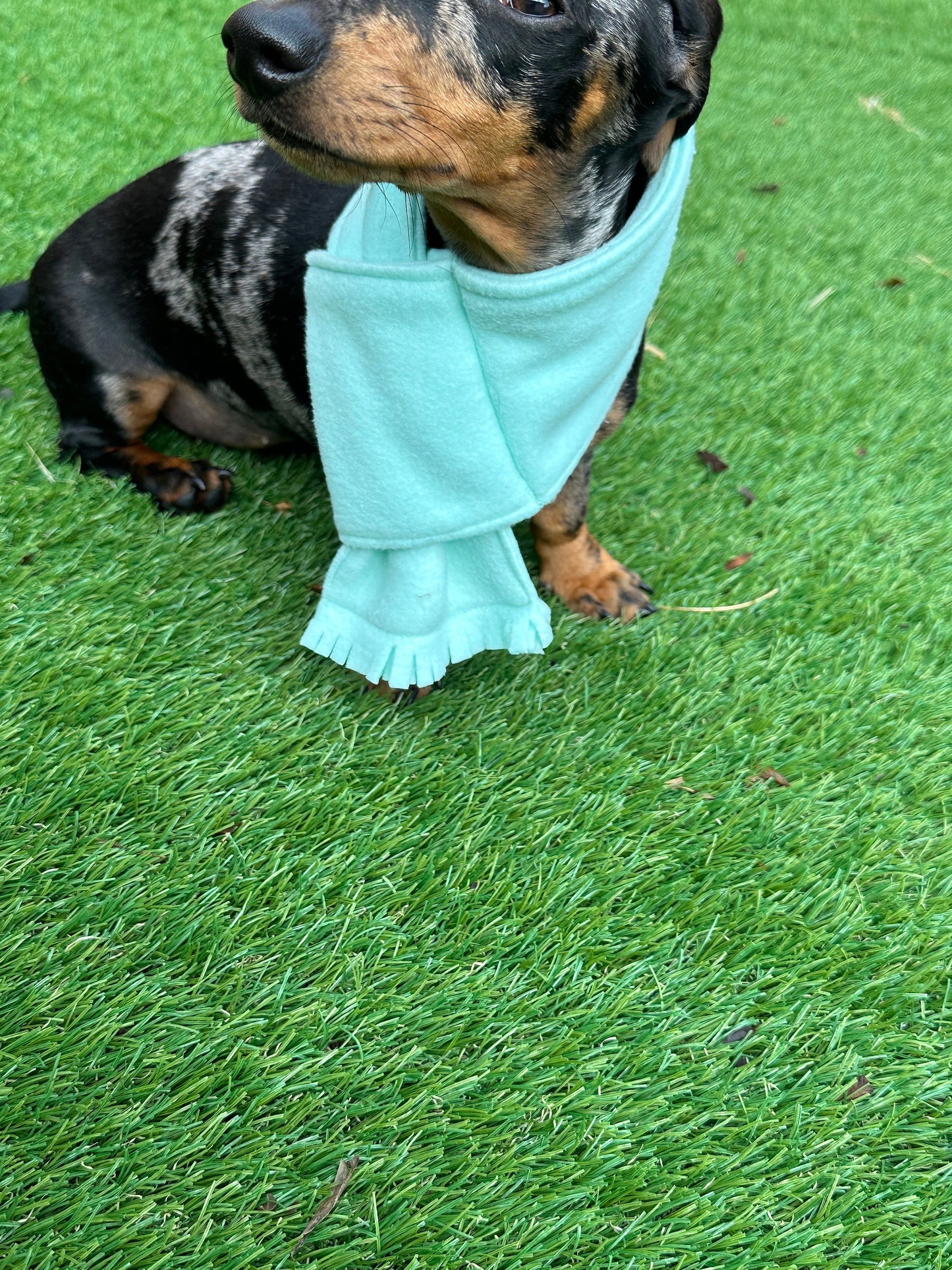 Dachshund Fleece Scarf: Dog Neck Warmer