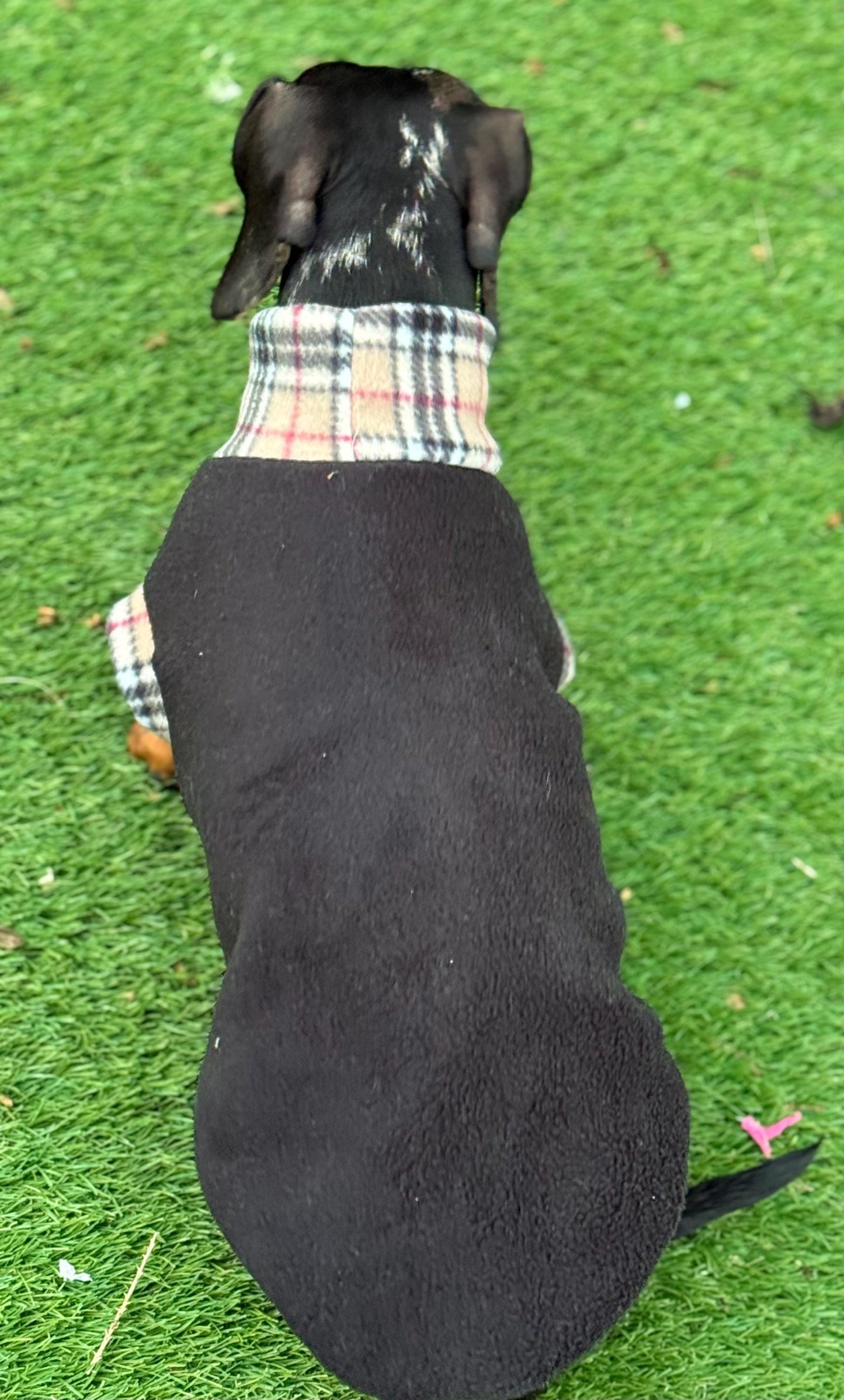 Beige Tartan Dachshund Fleece Jumper: Water & Mud Repellent