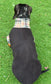 Beige Tartan Dachshund Fleece Jumper: Water & Mud Repellent