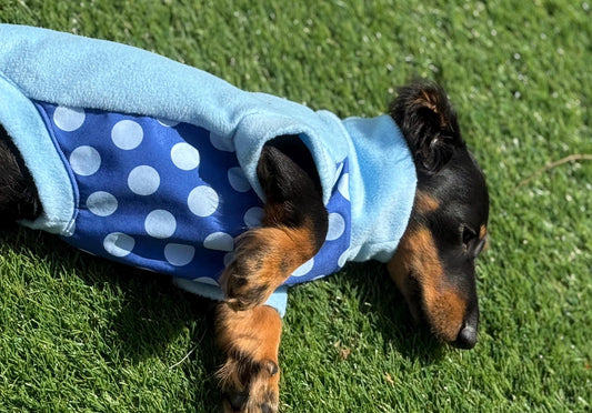 Waterproof Dachshund Fleece Jumper: Blue Polka Dot Tummy Protector