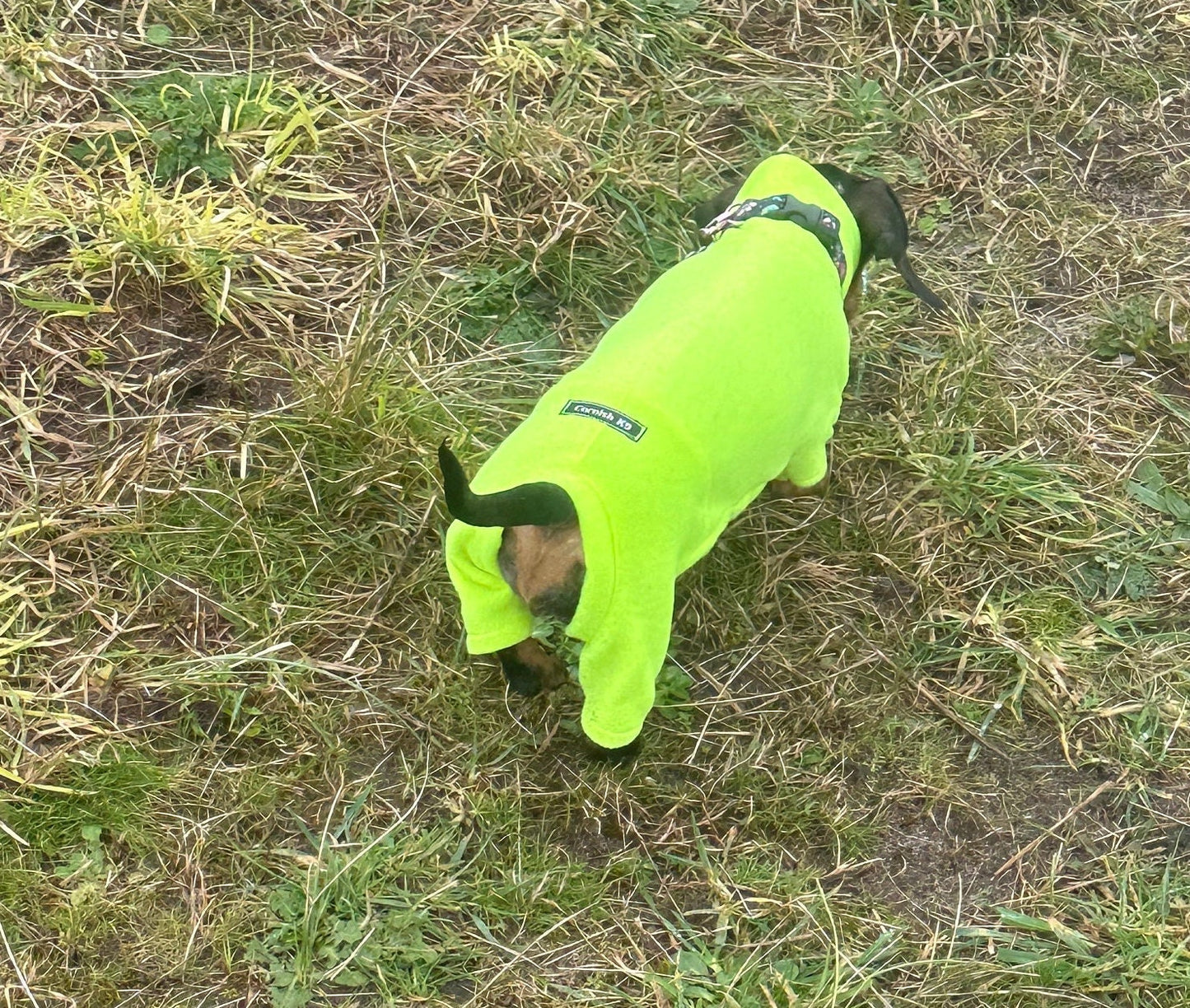 Hi-Vis Dachshund Fleece Onesie: Water & Mud Repellent Dog Jumpsuit