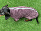 Dachshund Bamboo Drying Robe: Antibacterial Zipped Dog Towel