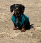 Dachshund Neoprene Dog Jumper: Stretchy, Insulated, Open-Neck