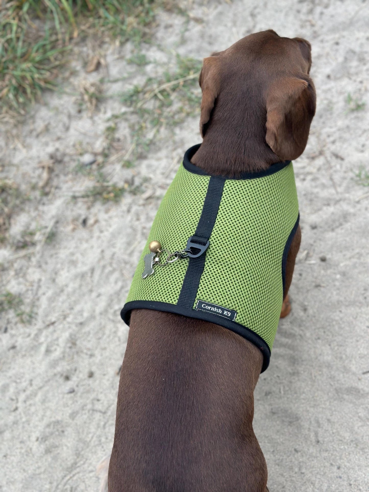 Dachshund Harness: Green Spacer Mesh, No-Rub Design