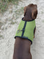 Dachshund Harness: Green Spacer Mesh, No-Rub Design