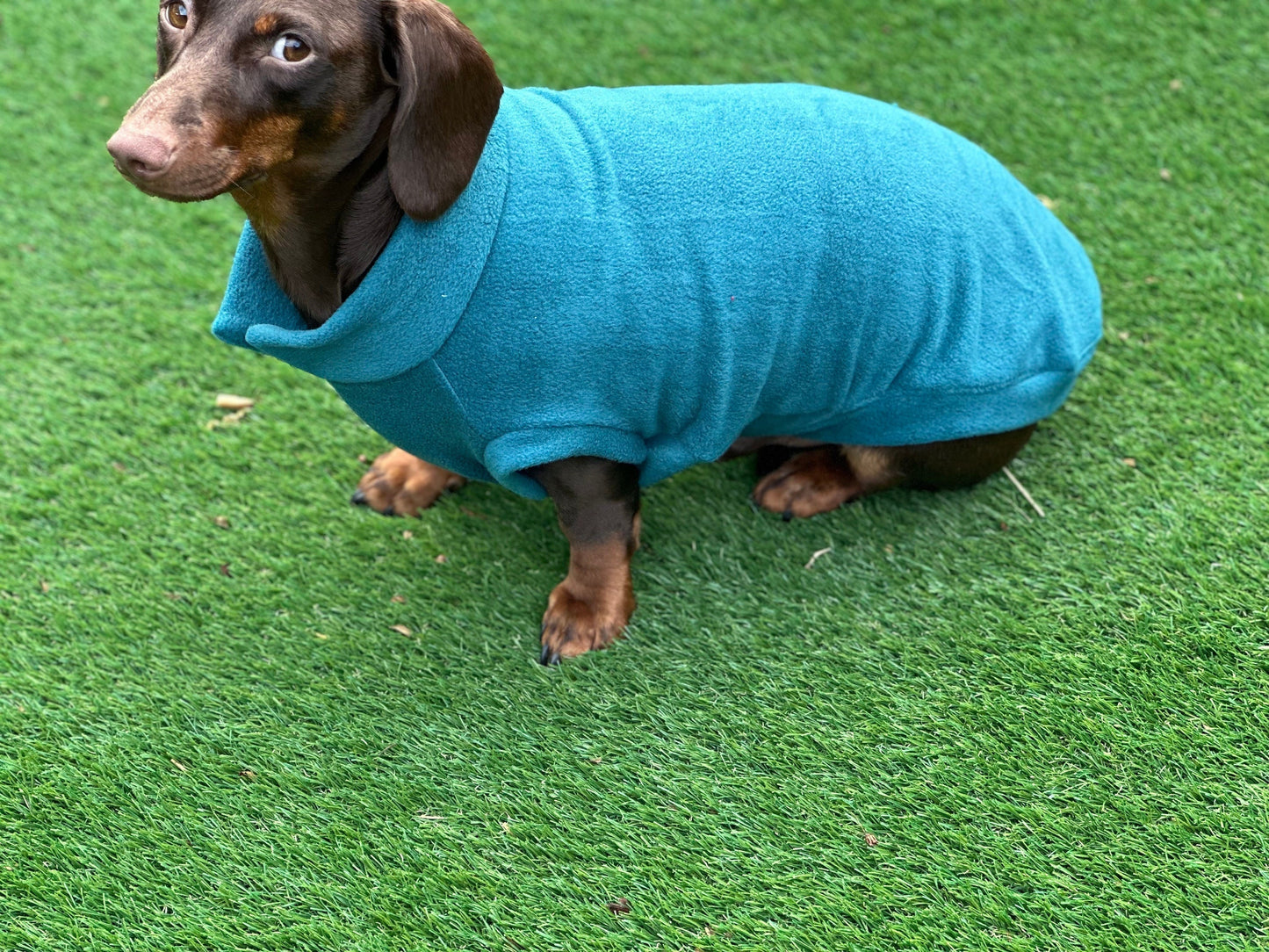 Dachshund open neck Fleece ,dachshund  tankies, daxie jumper, dachshund fleece ,washable dog jumper,Water & Mud Repellent dog suit