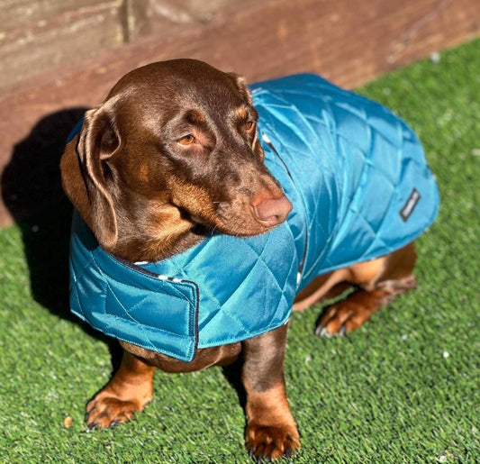Dachshund Quilted Dog Coat: Water-Resistant Fleece Lined Winter Jacket