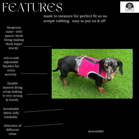 Dachshund made to measure Neoprene Dog Harness: No-Rub Comfort Vest