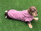 Waterproof Dachshund Hoodie: Fleece Lined, Mud Repellent Soft Shell