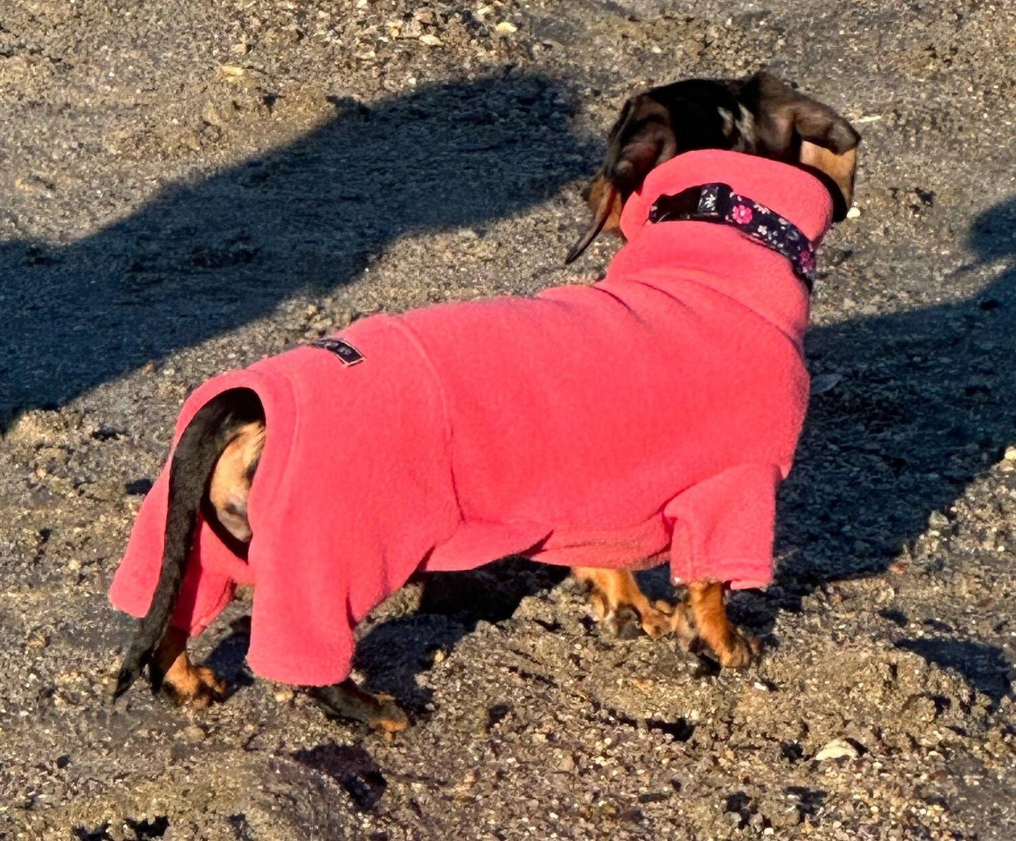 Miniature Dachshund Fleece Onesie: Water Repellent Dog Jumpsuit