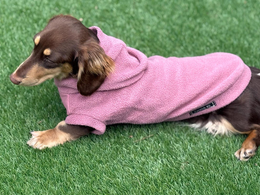 Waterproof Dachshund Hoodie: Fleece Lined, Mud Repellent Soft Shell