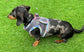 Dachshund  harness ,dog harness ,dachshund dog vest ,step in  harness,breathable harness