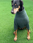 Dog Fleece  legged jumper ,breathable dog jumper, dog fleece suit ,washable dog jumper,dog fleece jumper,Water & Mud Repellent dog suit