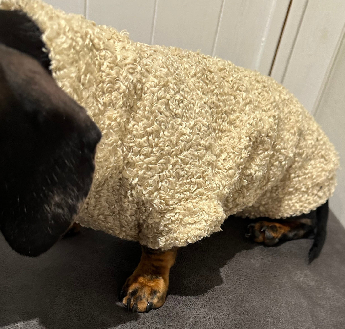 Boucle Fleece Dachshund Jumper: Cozy Thermal Dog Coat