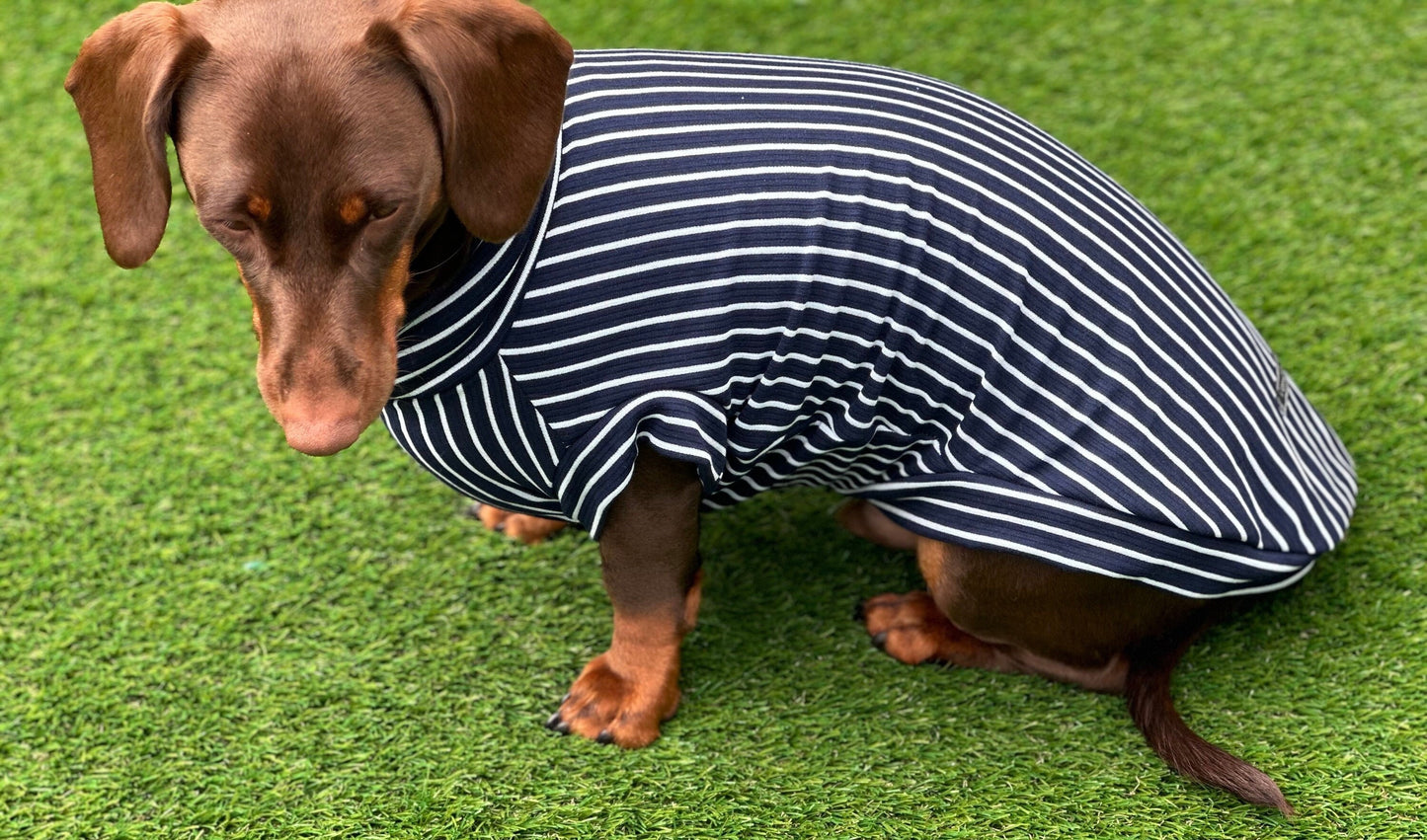 Dachshund Stripe Jersey Jumper: Washable Dog T-Shirt