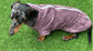 Dachshund Bamboo Drying Robe: Antibacterial Zipped Dog Towel