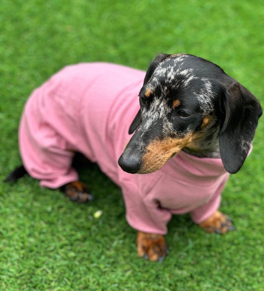 Dachshund Cotton Jersey Onesie: Cooling Pajama Jumpsuit