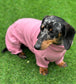Dachshund Cotton Jersey Onesie: Cooling Pajama Jumpsuit