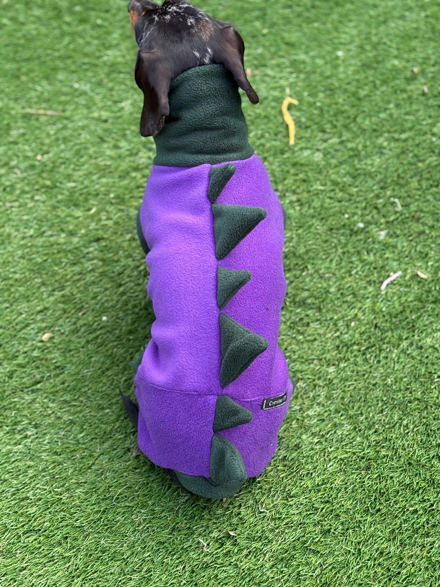 Dachshund Dino Fleece Onesie: Water Repellent Dog Jumpsuit