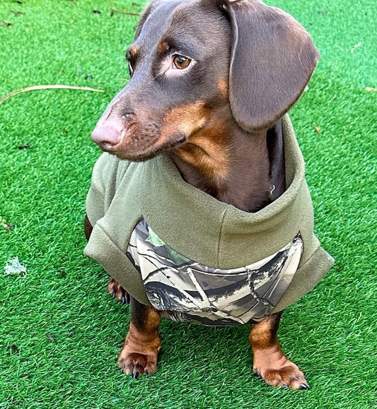 Dachshund  waterproof Softshell tummy fleece ,dachshund jumper ,dachshund jacket,water and mud repellent fleece , dachshund fleece