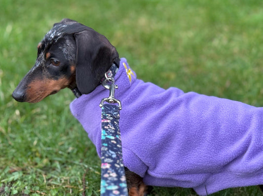 Embroidered Initial Dachshund Fleece Jumper: Water Repellent Dog Coat