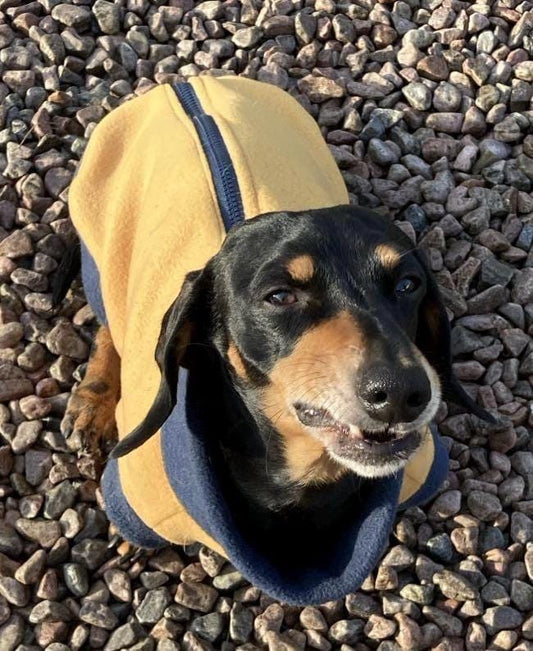 Dachshund zipped Fleece jumper ,dachshund  tankies, dog jumper, dog fleece ,washable dog jumper,ivdd jumper,dachshund fleece