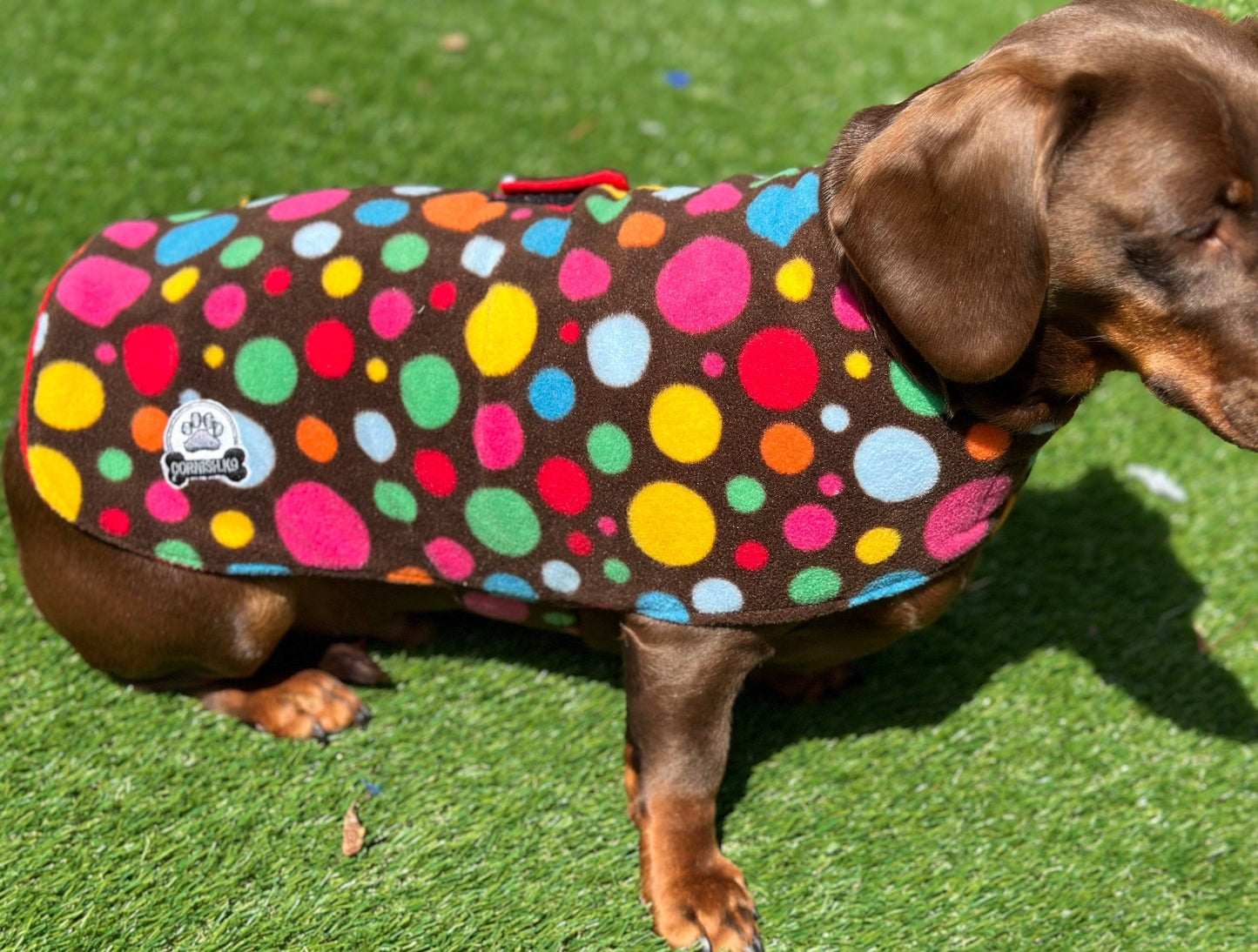 Polka Dot Fleece Dachshund Dog Coat: Water Repellent, Handmade