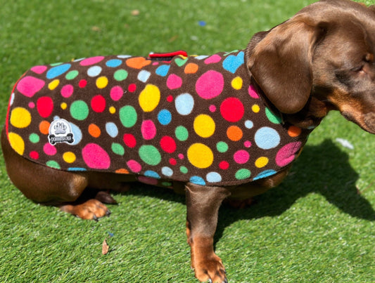 Polka Dot Fleece Dachshund Dog Coat: Water Repellent, Handmade