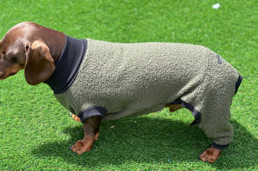 Boucle Fleece Dachshund Onesie: Cozy Small Dog Jumper