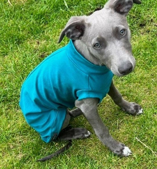 Cotton Jersey Italian Greyhound Cooling Top: Washable Dog Jumper