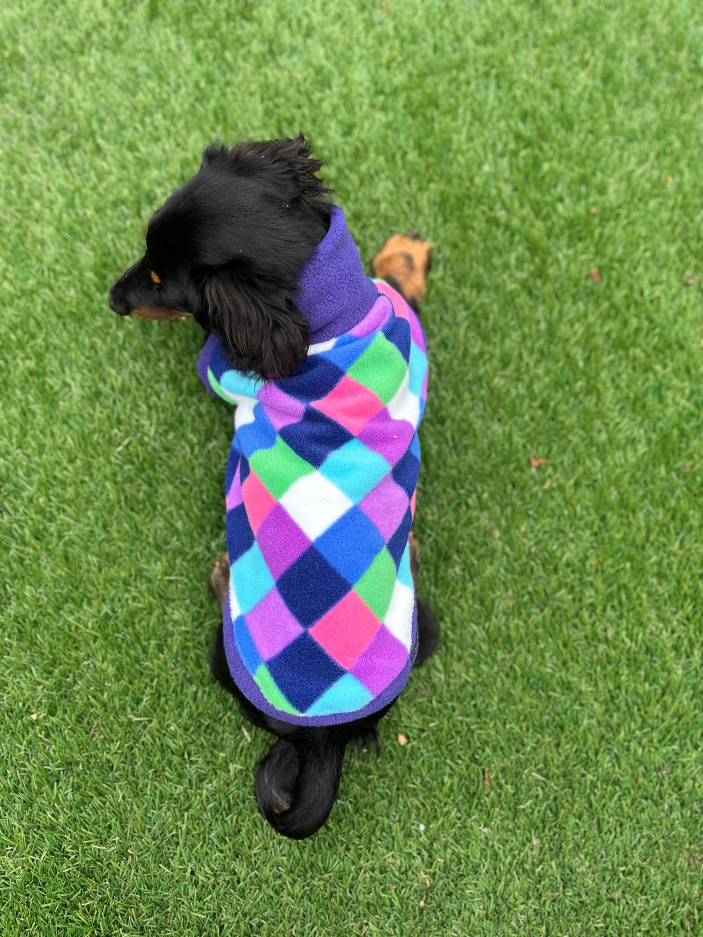 Dachshund Fleece Dog Jumper: Water & Mud Repellent, Breathable, Multi-Colored