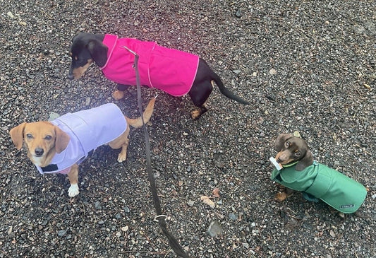 Made to Measure Waterproof Dachshund Dog Coat: Fleece Lined Winter Wear
