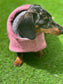 Dachshund Drying Robe: Absorbent Cotton Terry Dog Towel with Hood