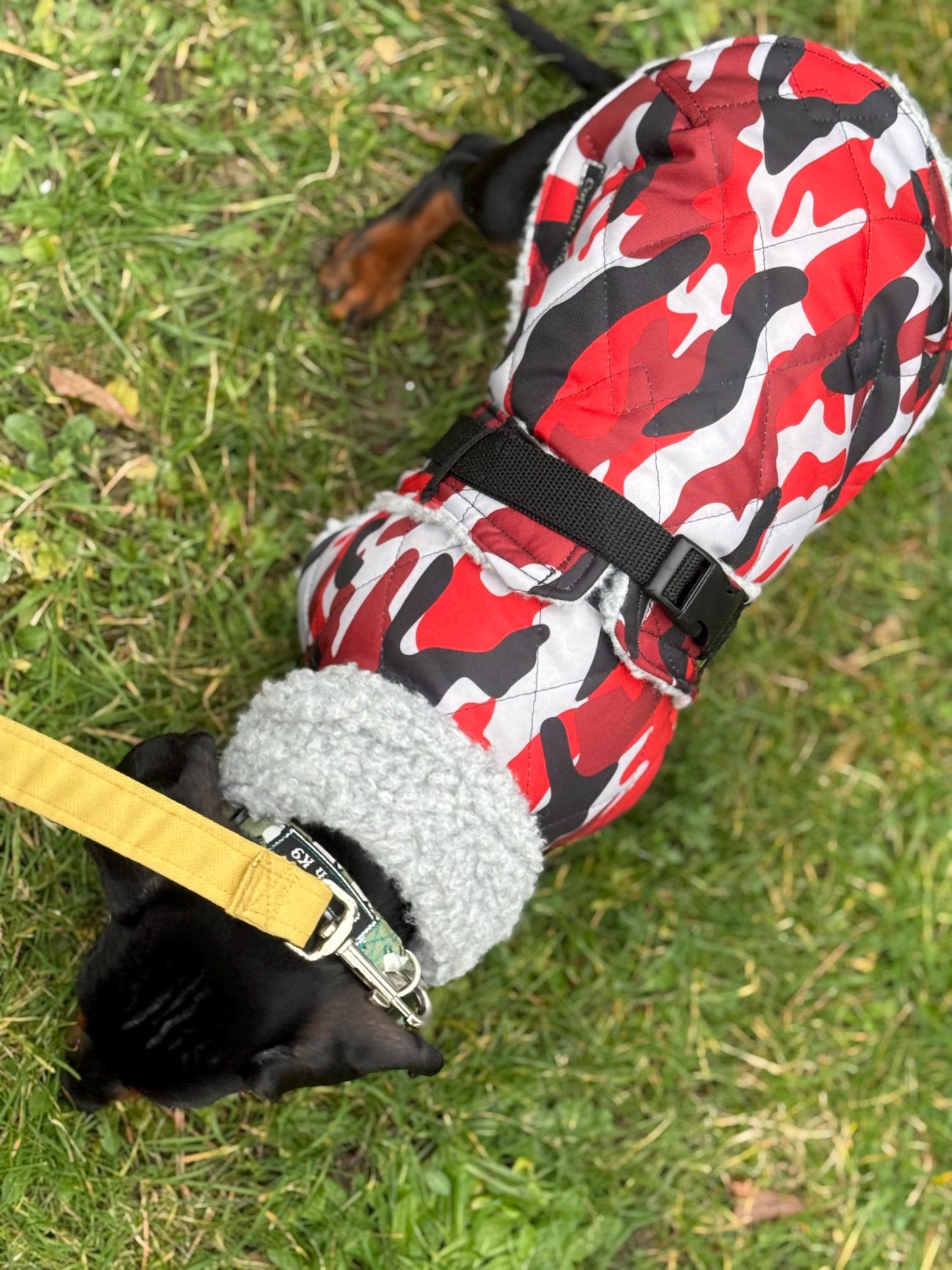 Waterproof Quilted Dachshund Coat: Sherpa Fleece Lined Winter Dog Coat