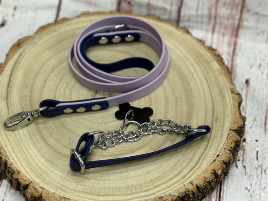 Waterproof Biothane Dog Collar & Lead Set: Silver Hardware, Small (11-13 inch neck)
