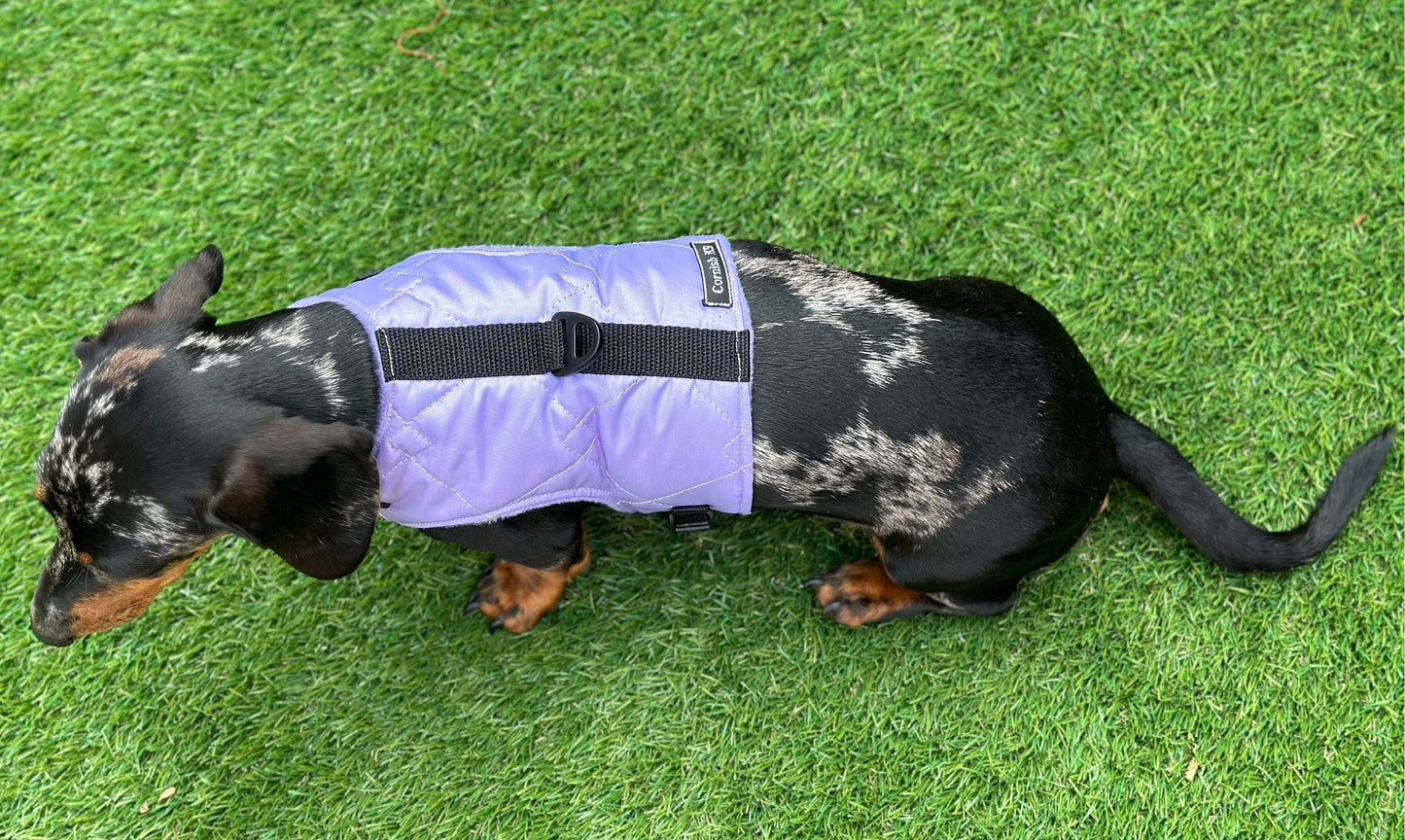Waterproof Quilted Dachshund Harness: Fleece Lined, No-Rub Design