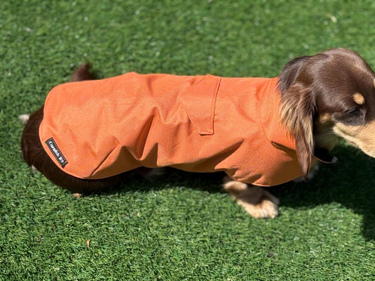 Waterproof Dachshund Winter Coat: Fleece Lined, Harness Hole