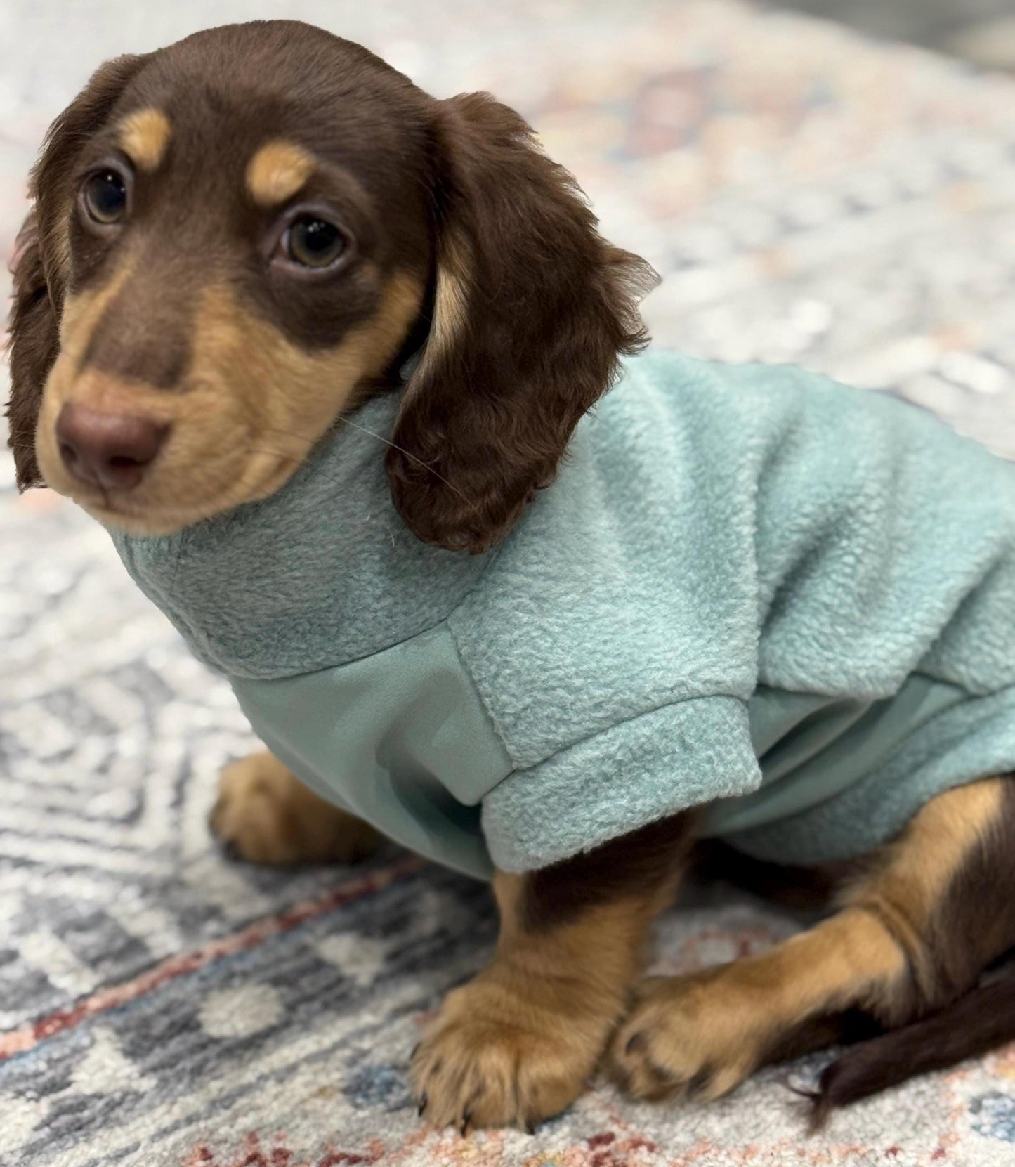Waterproof Dachshund Fleece Jacket: Mud Repellent Soft Shell Tummy