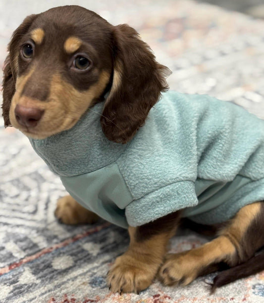 Waterproof Dachshund Fleece Jacket: Mud Repellent Soft Shell Tummy