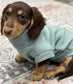 Waterproof Dachshund Fleece Jacket: Mud Repellent Soft Shell Tummy