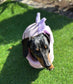 Dachshund Dino Fleece Dog Drying Coat: Absorbent Cotton Terry Lined