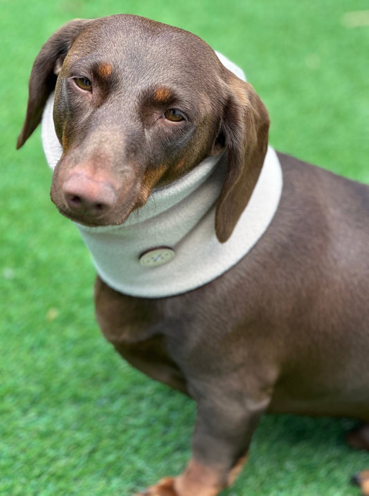 Dachshund Fleece Snood: Dog Neck Warmer