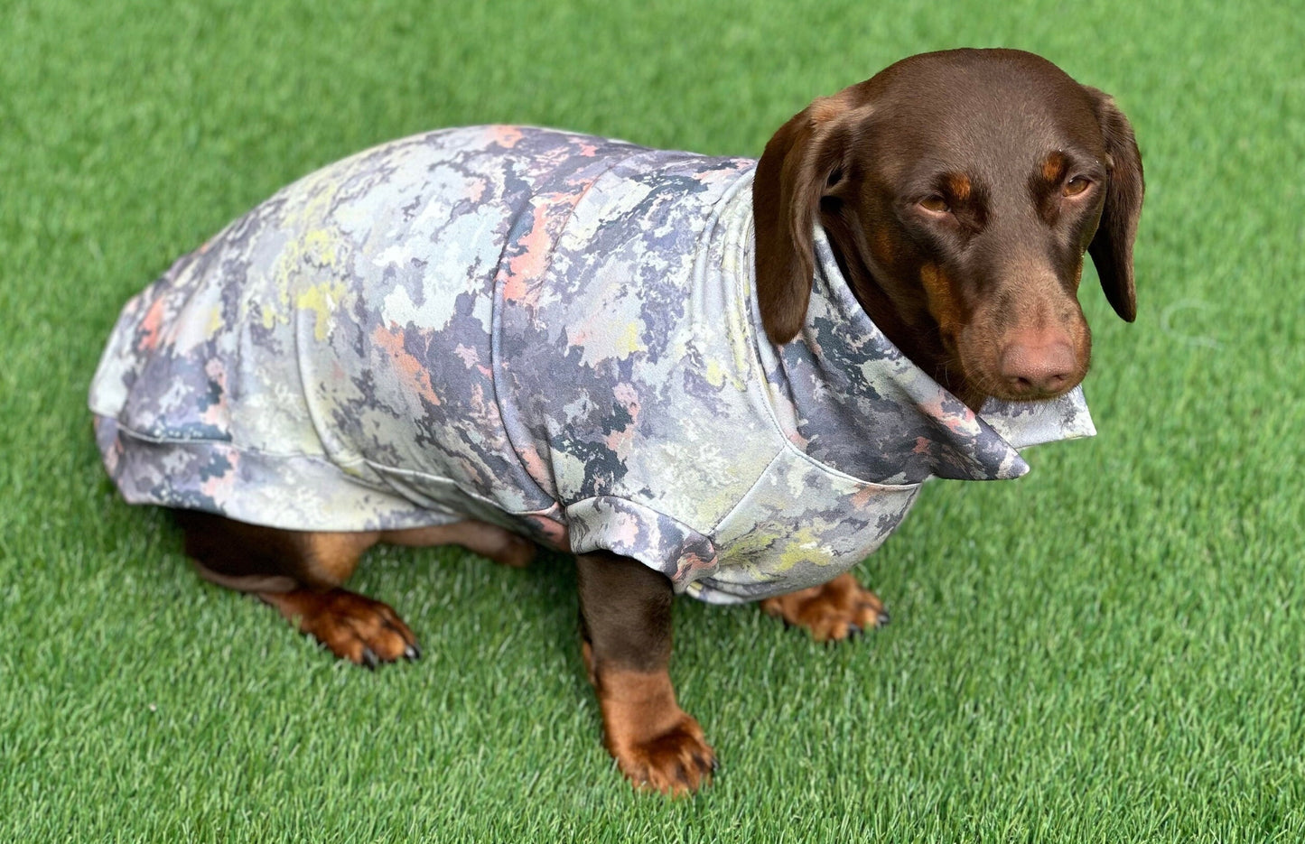 Dachshund Scuba Crepe Jumper: Washable Dog Tank Top