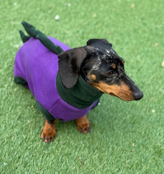 Dachshund Dino Fleece Onesie: Water Repellent Dog Jumpsuit
