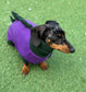 Dachshund Dino Fleece Onesie: Water Repellent Dog Jumpsuit